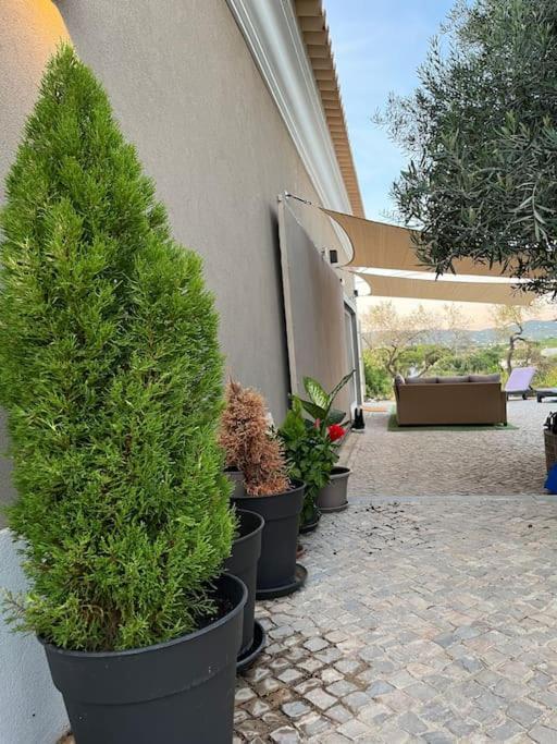 Quinta Da Alfarrobeira Peaceful Countryside Stay Faro Exterior photo